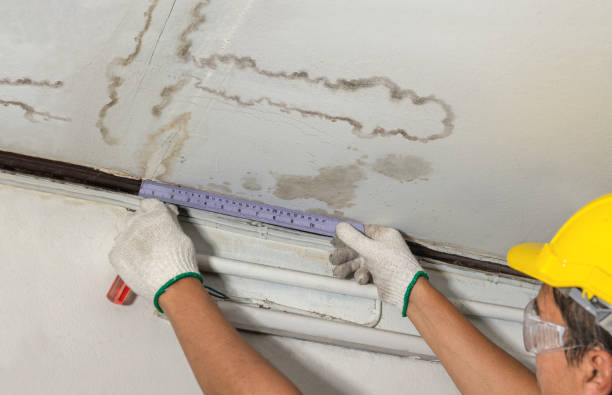 Reliable Water Damage contractor in Pittsfield, IL by Water Damage Irwin